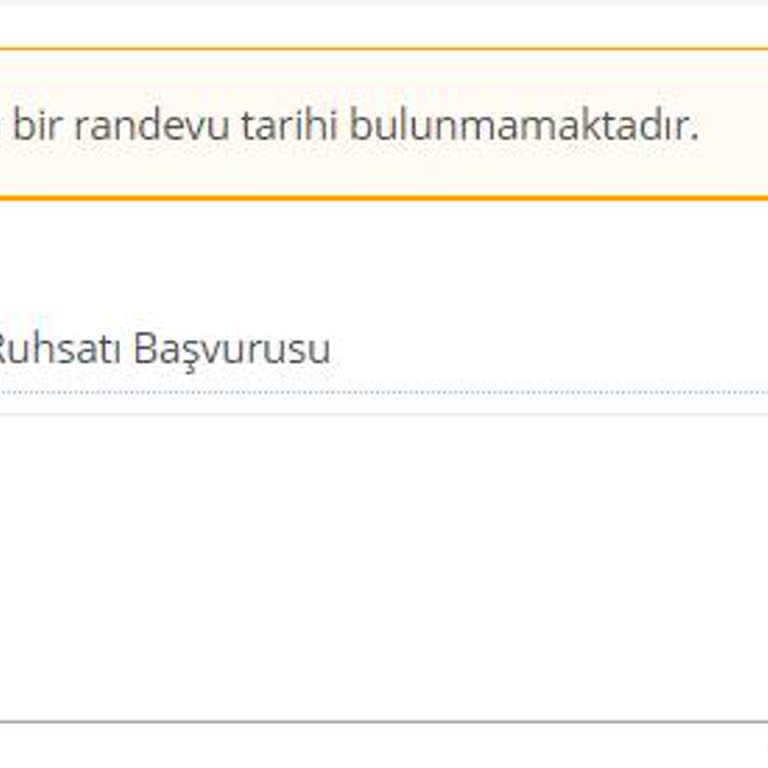 E-Devlet (Turkiye.gov.tr) Silah Ruhsat Ön Başvuru Hatası