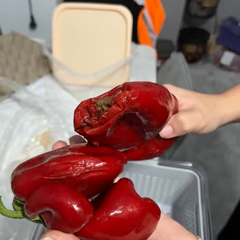 Şok Market Siparişinde Ürün Hataları Ve Kalite Sorunları