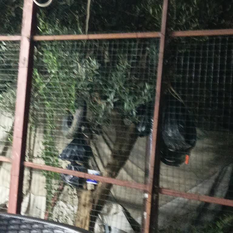 AFAD Esen Kart Başvurusu Mağduru!