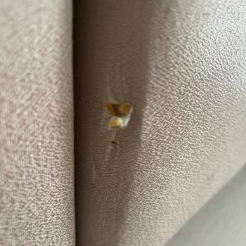 Siner Nakliyat Eşyayı Yükleyip Fiyat Arttırıyor