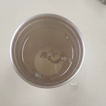 Stanley Termos Koku Yapıyor