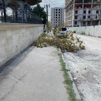 Milli Eğitim Bakanlığı Bursa Osmangazi'deki İlkokul İnşaat Sorunları