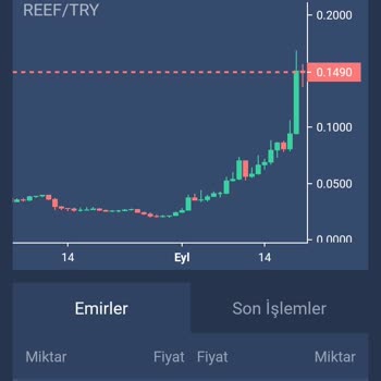 Paribu Reef Coin Değeri Saptırma