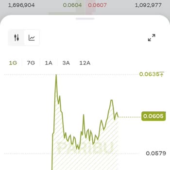 Paribu Reef Coin Değeri Saptırma