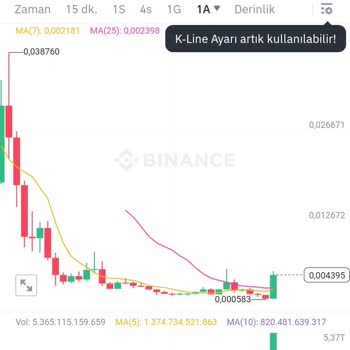 Paribu Reef Coin Değeri Saptırma
