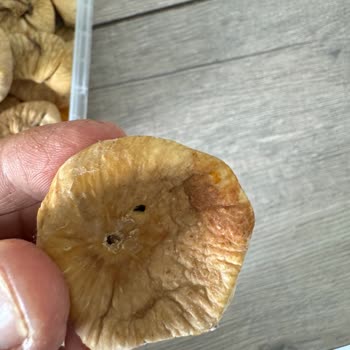 Ege Çarşısı Kirli Kurtlu Kuru İncir