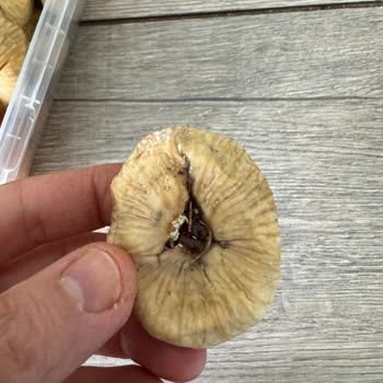 Ege Çarşısı Kirli Kurtlu Kuru İncir