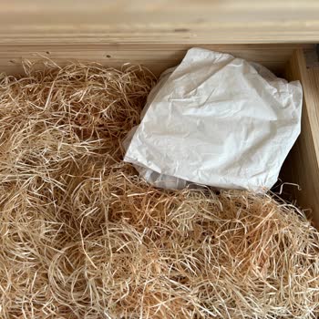 Gallery Crystal'de Yaşadığım Alışveriş Deneyimi Ve Sorunlar