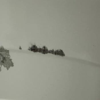 PTT Kargo Epttavm Ayıplı Ürün Satışı Ve İade Almaması