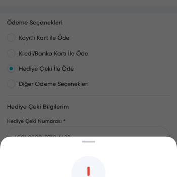 Edenred A101 E Kod Sorunu