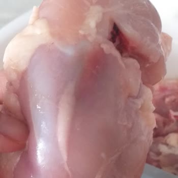 Keskinoğlu Tavuğun Kanlı Ve Mor Çıkması!