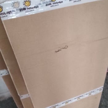 Trendyol Ve Ceva El Birliği İle Bile İsteye Beni Mağdur Ediyor.