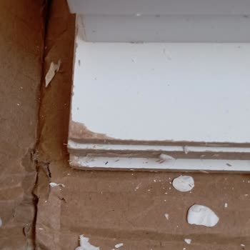 Trendyol Ve Ceva El Birliği İle Bile İsteye Beni Mağdur Ediyor.