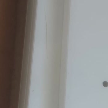 Trendyol Ve Ceva El Birliği İle Bile İsteye Beni Mağdur Ediyor.