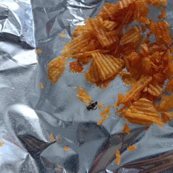 Ruffles Cips Sinek Cıktı