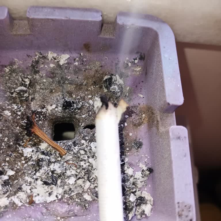 Winston Dark Long İçinden Odun Çıktı.