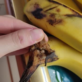 Carrefour SA Çürümüş Ne Varsa Toplayıp Müşteriye Online Yoldan Satıyor