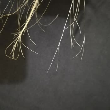 Dyson Airstrait Islak Kuru Saçlarımı Mahvetti