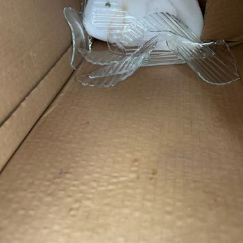 Yurtiçi Kargo Taze Çiçek Kırık Vazo Şikayet