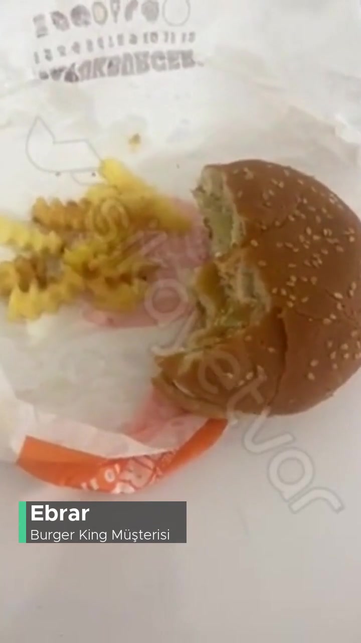 Burger King Yemeğimde Kıl Çıktı! videonun kapak resmi