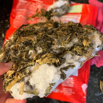 Super Fresh Bozuk Dondurulmuş Ürün