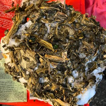 Super Fresh Bozuk Dondurulmuş Ürün