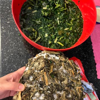 Super Fresh Bozuk Dondurulmuş Ürün