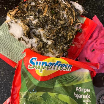 Super Fresh Bozuk Dondurulmuş Ürün