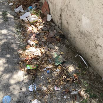 Çeşme Belediyesi Reisdere Mahallesi'nde İhmal Edilen Sokak Temizliği Ve Yol Sorunu