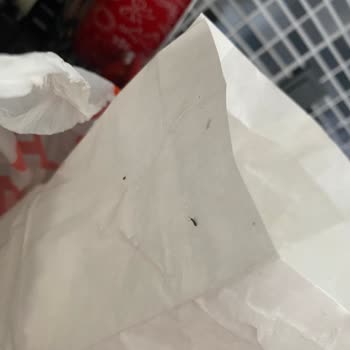 Migros Böcekli Un Satıyor