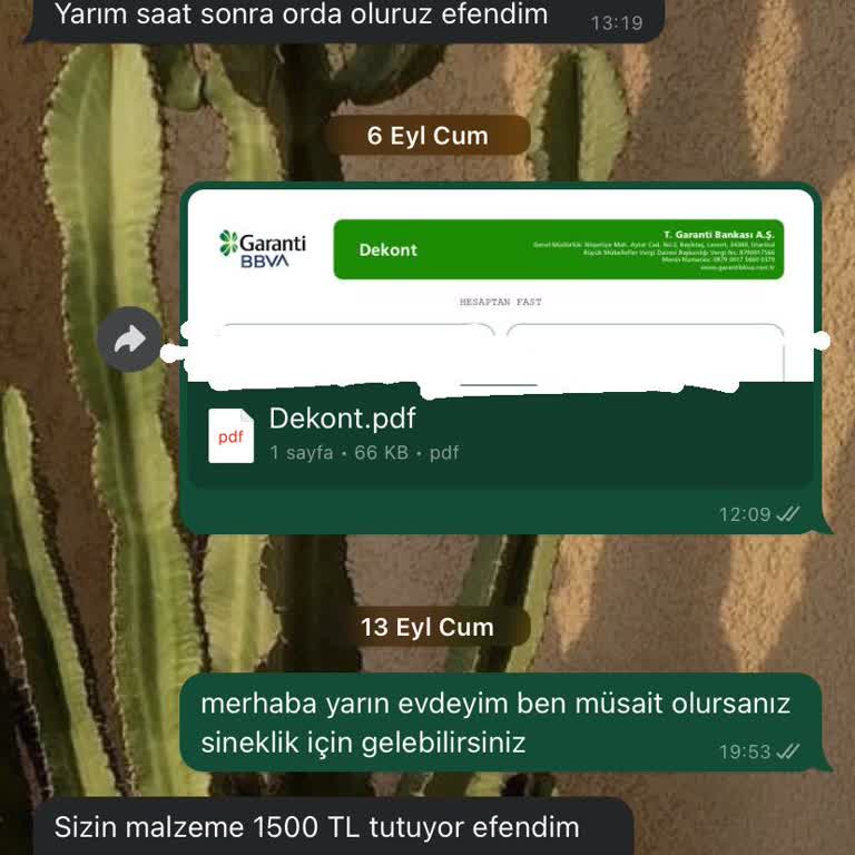 Serkan Sineklik Mağduriyeti