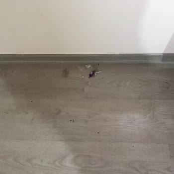 Fyd Rezidans Kız Apart Evleri Memnuniyetsizliği