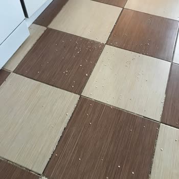 Fyd Rezidans Kız Apart Evleri Memnuniyetsizliği