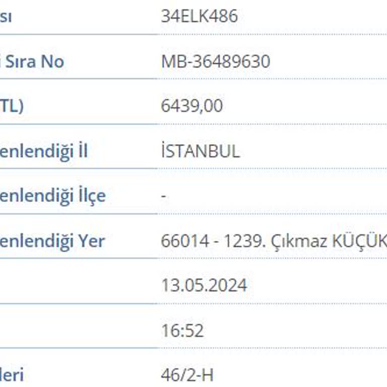 E-Devlet (Turkiye.gov.tr) Gereksiz Yere Ceza Yazıldı