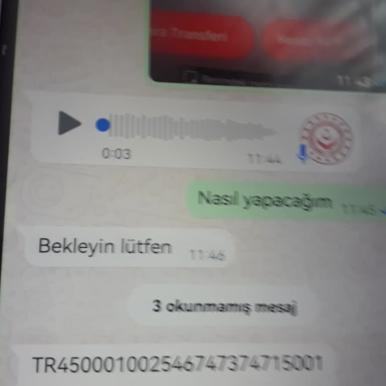UYAP Sosyal Yardım Hattı WhatsApp