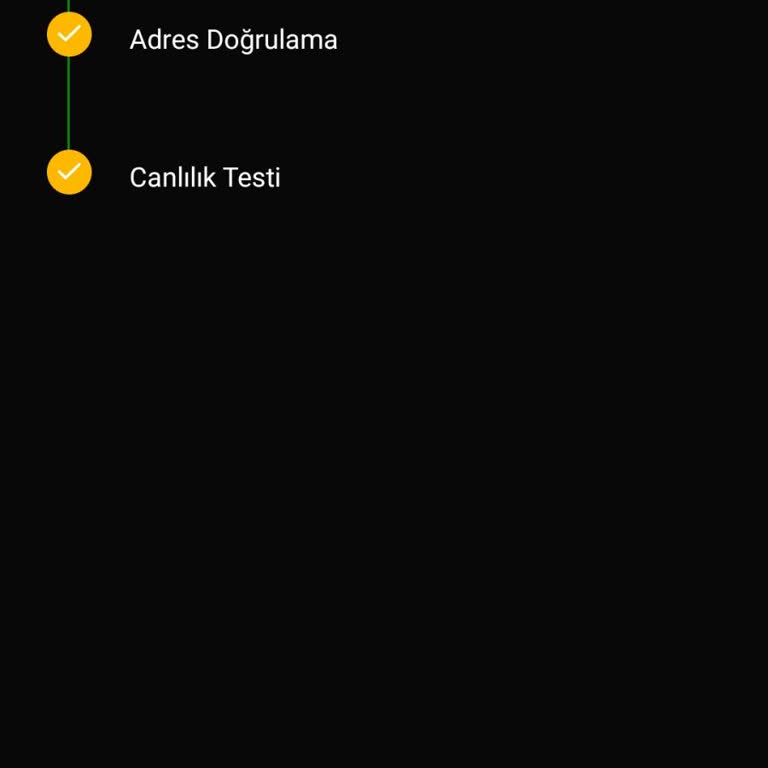 Slayz Kimlik Doğrulaması Sorunu