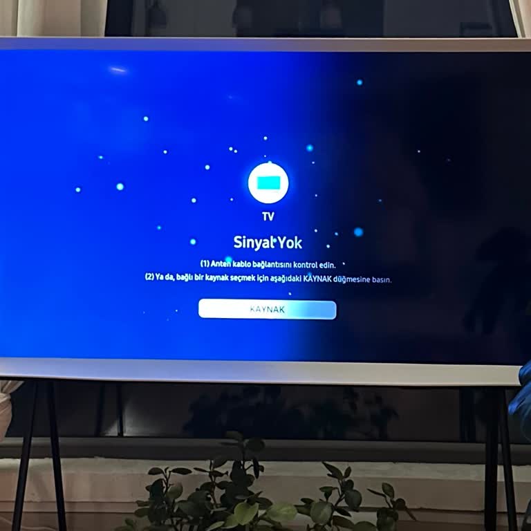 Samsung Serif Garantiden 1 Ay Sonra