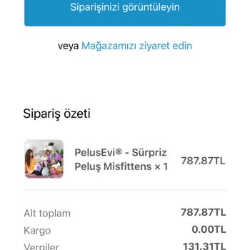 Peluş Evim Instagram Üzerinden Verilen Siparişin Teslim Edilmemesi