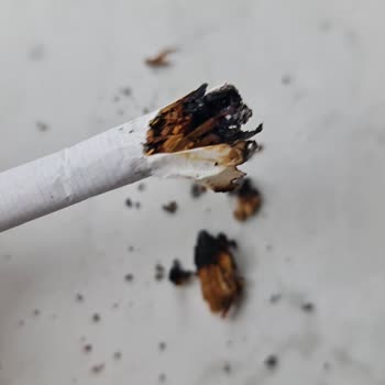 Parliament Sigarasından Çıkan Odun Parçaları