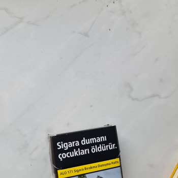 Parliament Sigarasından Çıkan Odun Parçaları