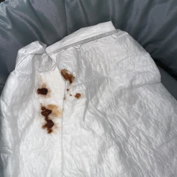 Petical Hayvan Hastanesi Yüzünden Yaşanan Acı Kaybımız