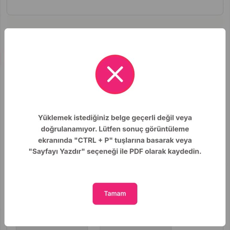 Türk Eğitim Vakfı Obigenç Uygulamasında PDF Yükleme Sorunu!