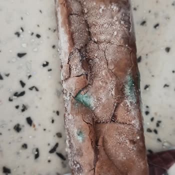 Eti Gıda Eti Dondurma Şikayeti