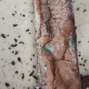 Eti Gıda Eti Dondurma Şikayeti