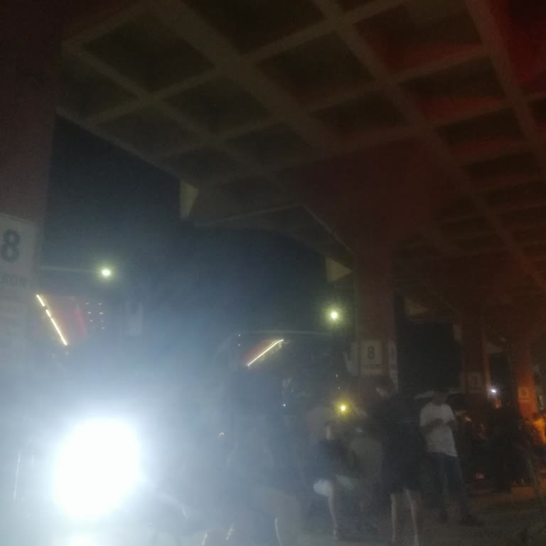 Deveci Nazar Turizm Araç Gelmiyor! Ağaç Olduk!