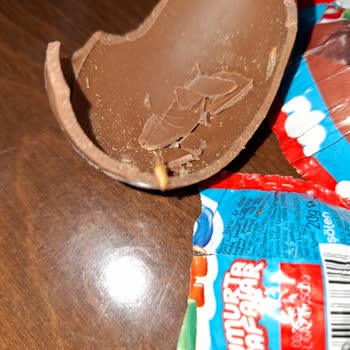 Ozmo Sürpriz Yumurta Kabusu: Eğlencemiz Ve Mide Sağlığımız Mahvoldu