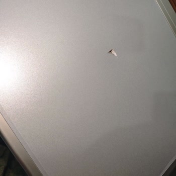 N11 Aldığım Kurutma Makinesinde Üst Tabla Problemi Ve Çözüm Bulunamaması