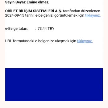 Elogo E Arşiv Faturası Şikayet