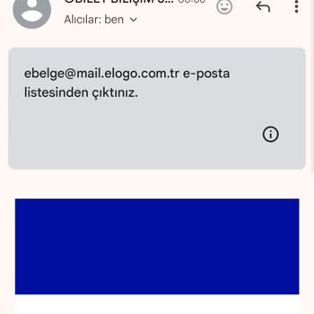Elogo E Arşiv Faturası Şikayet