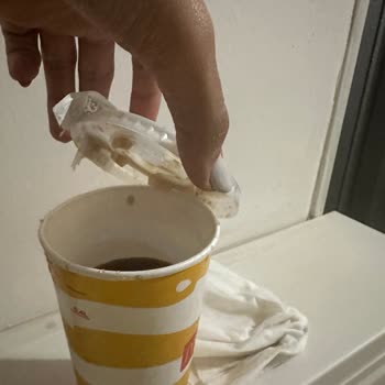 Çocuklarımı Üzen McDonald's Şahanesi